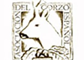 Logotipo de la Asociación del Corzo Español